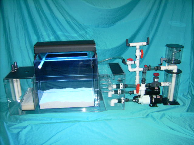 LifeReefugium II