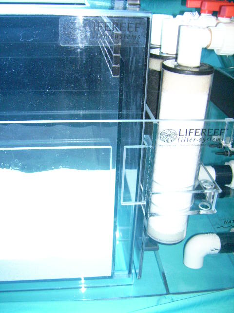 channel detail