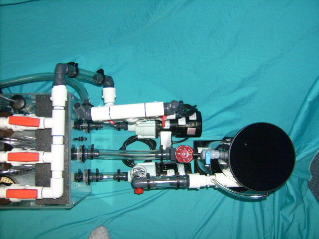 LifeReefugium II top view